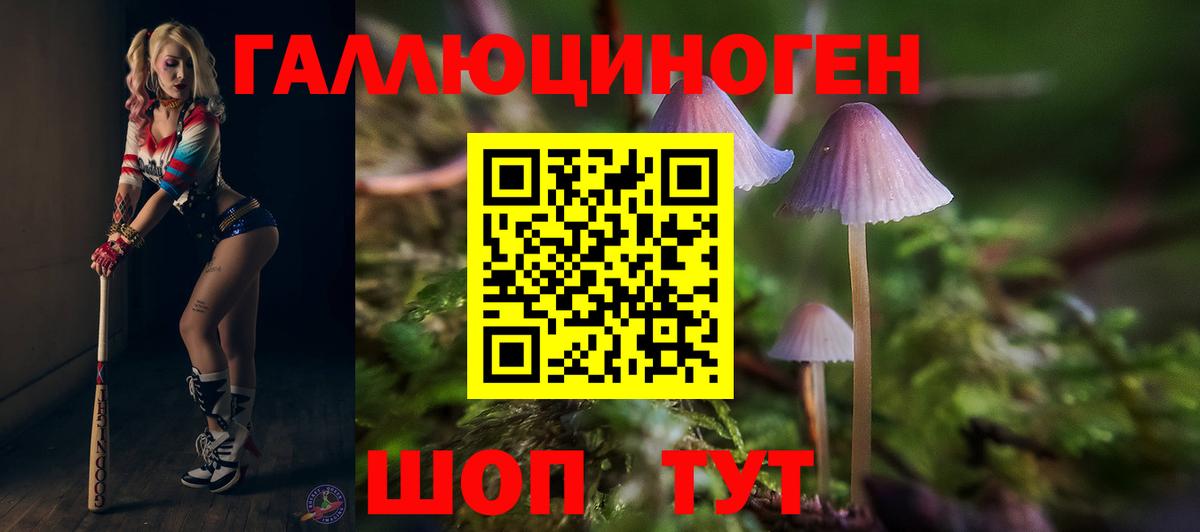 Псилоцибиновые грибы мицелий Алексеевка
