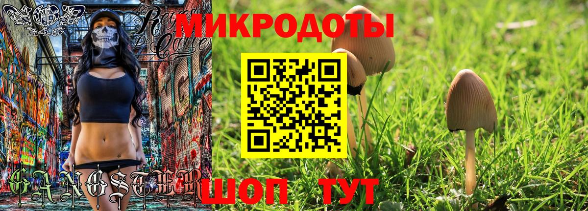 Алексеевка  Псилоцибиновые грибы прущие грибы  Вход с VPN  Псилоцибиновые грибы GOLDEN TEACHER 